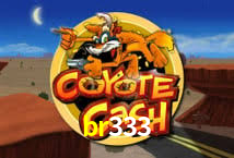 Aviator Game br333