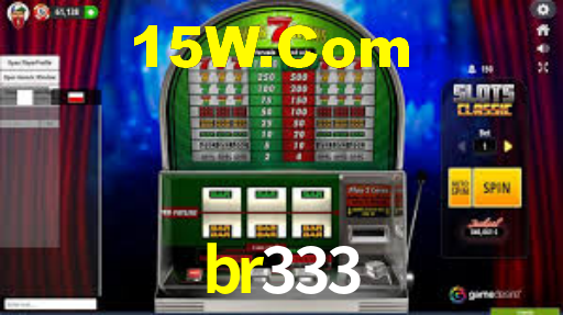 br333