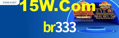 br333.com