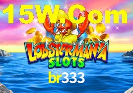 br333 plataforma