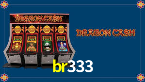 br333 App Interface