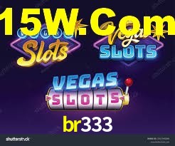 br333